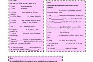 PRESENT PERFECT CONTINUOUS 2