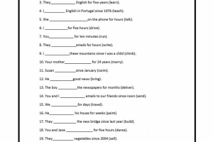 PRESENT PERFECT CONTINUOUS 4