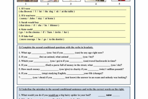 SECOND CONDITIONAL 1